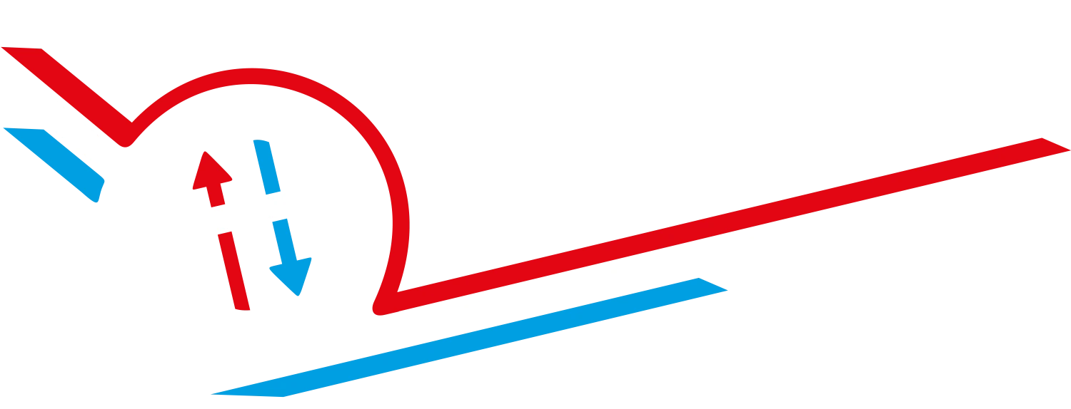 Logo Schwing GmbH & Co. KG